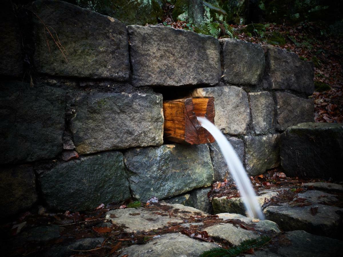 Apartmán U Kosti - Bohemian Switzerland Decin Exteriér fotografie